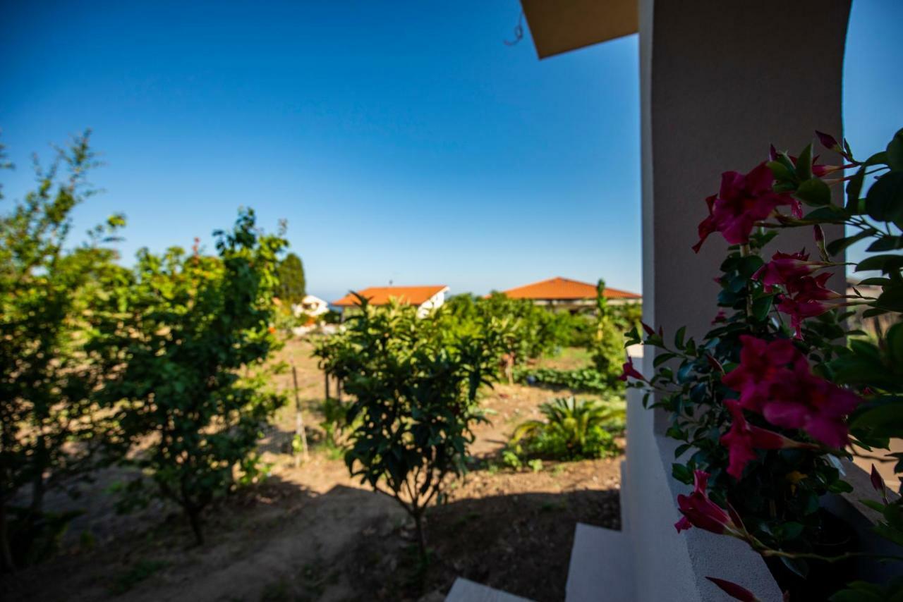 Bed and Breakfast Michelino House Parghelia Exterior foto